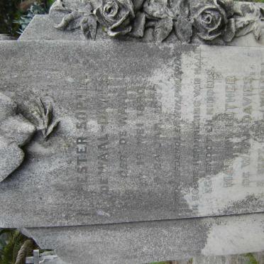 DAVIES Martin, de Waal 1879-1943 &amp;  Hester Sophia de WAAL  1880-1937