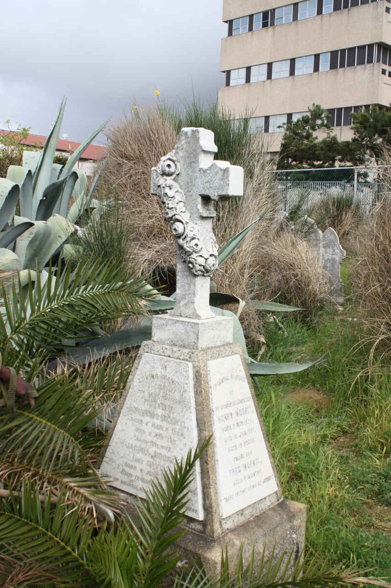 MORKEL :: DAVIS :: WILSNACH