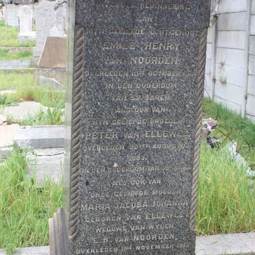 NOORDEN van :: VAN ELLEWEE :: ROSE