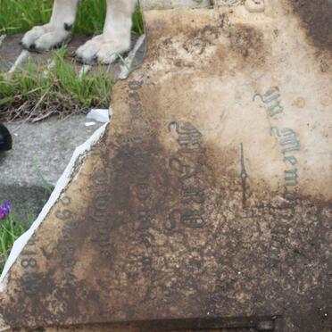 TUDHOPE Mary 1884-1899