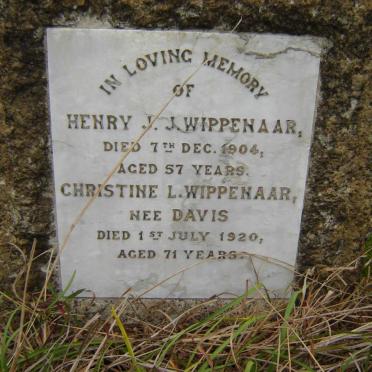 WIPPENAAR Henry J.J. -1904 &amp; Christine L. DAVIS -1920