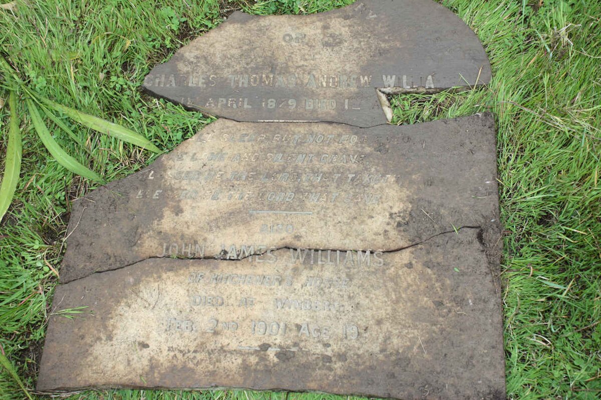 WILLIAMS Charles Thomas Andrew 1879-? :: WILLIAMS John James -1901