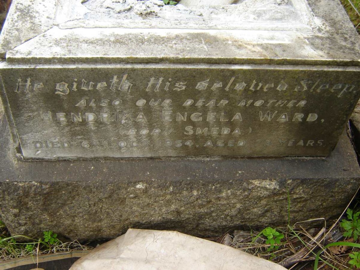 WARD Hendrika Engela nee SMEDA -1954
