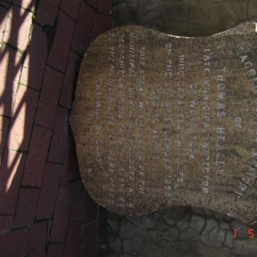 HEALY Thomas -1890  &amp; Nancy -1904