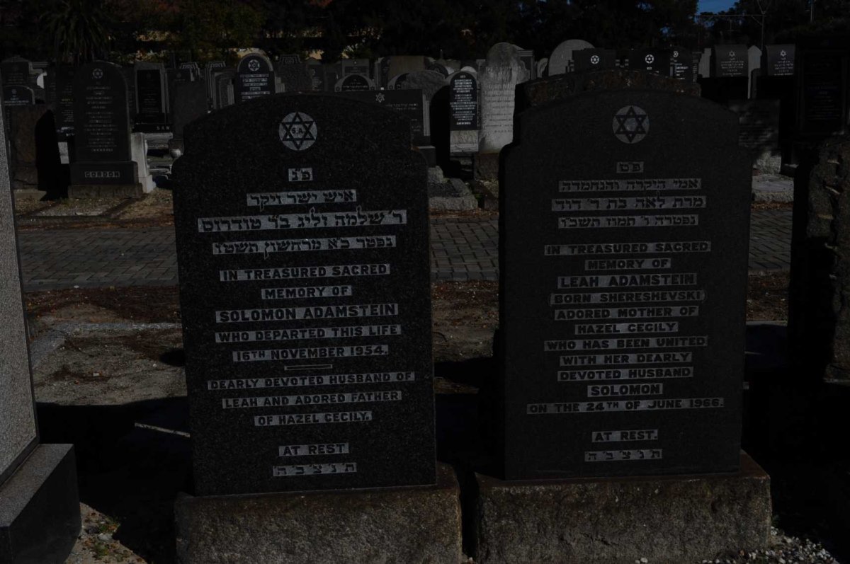 ADAMSTEIN Solomon -1954 &amp; Leah SHERESHEVSKI -1966