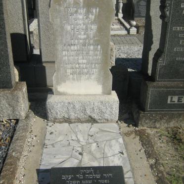 BERMAN David -1964 &amp; Fanny -1948