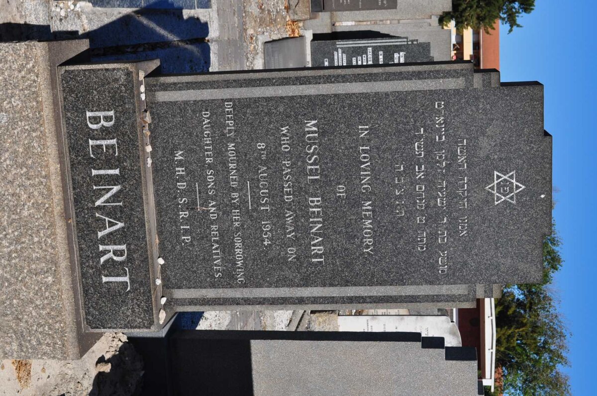 BEINHART Mussel -1954