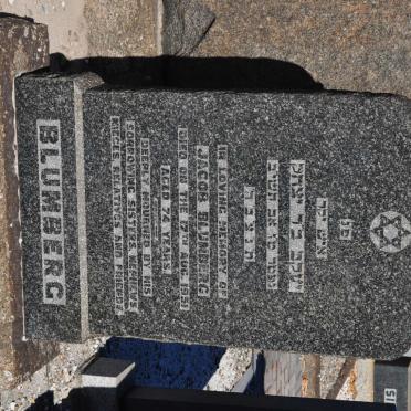 BLUMBERG Jacob -1951