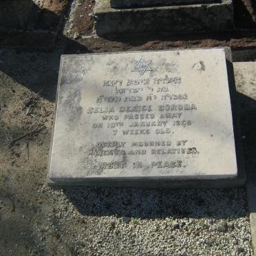 BORODA Celia Denise -1958