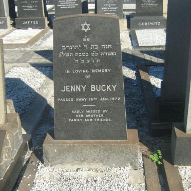 BUCKY Jenny -1972