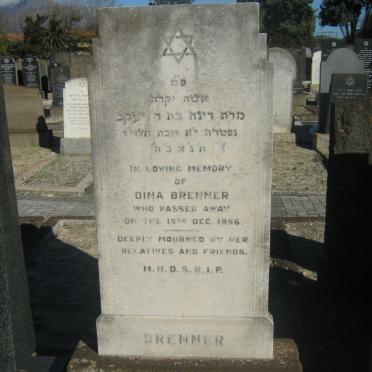 BRENNER Dina -1956
