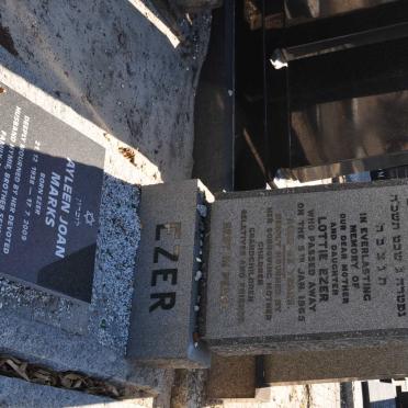 EZER Lottie -1965 :: MARKS Ayleen Joan nee EZER 1938-2009