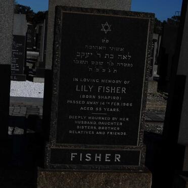 FISHER Lily nee SHAPIRO -1966