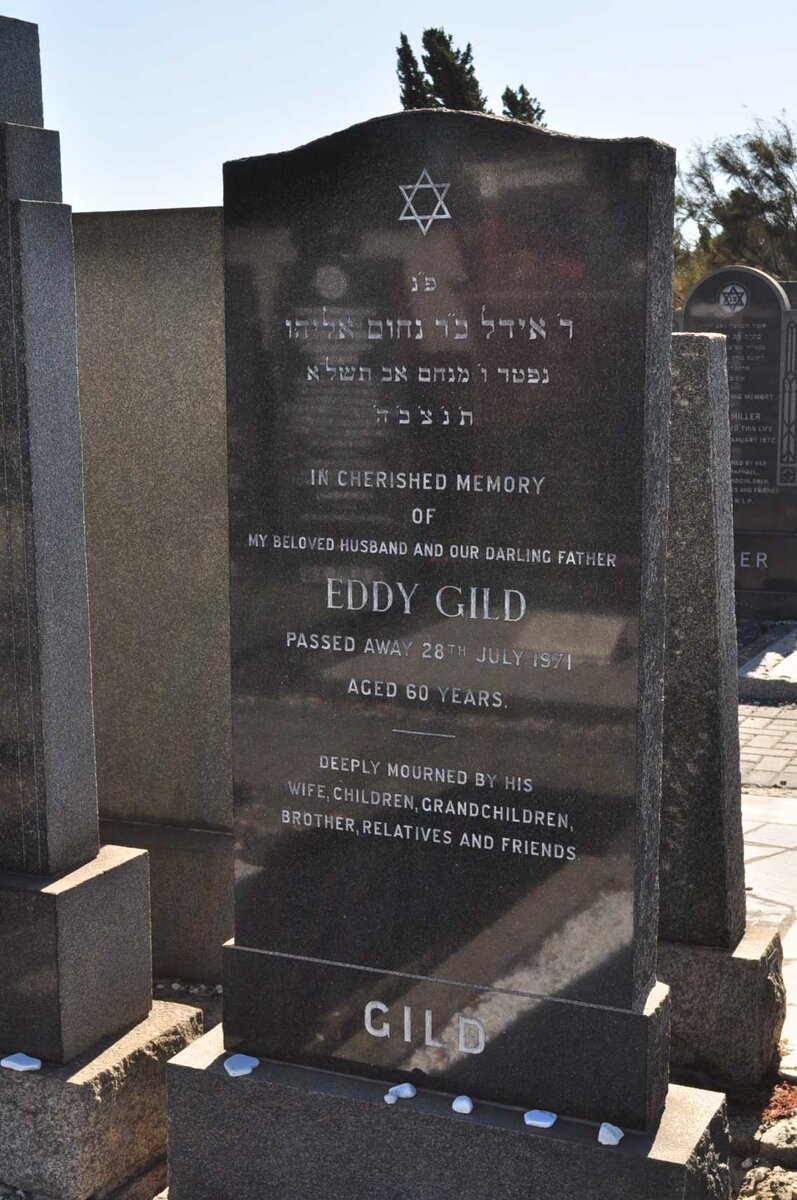 GILD Eddy -1971