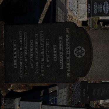 GOLDSTEIN Bassheba -1950