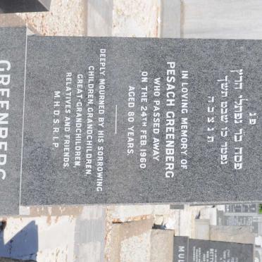 GREENBERG Pesach -1960