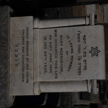 HERSHBAUM Mary -1956