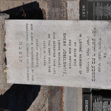 JOSELOWITZ Sheba nee MARCUS -1952