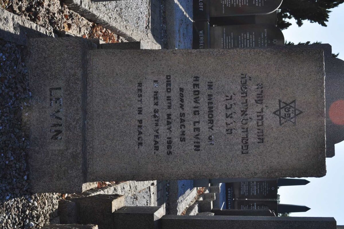 LEVIN Hedwig nee SACHS -1965