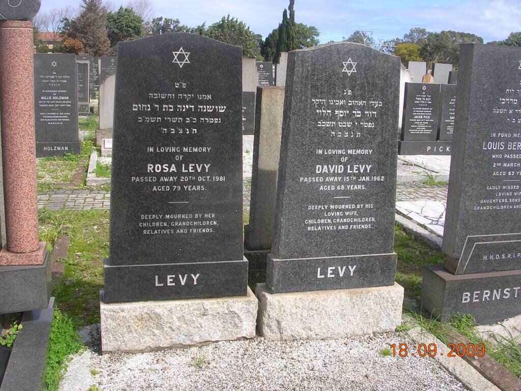LEVY David -1962 &amp; Rosa -1981