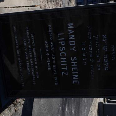 LIPSCHITZ Mandy Sheine -1972