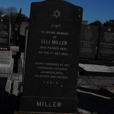 MILLER Elli -1965