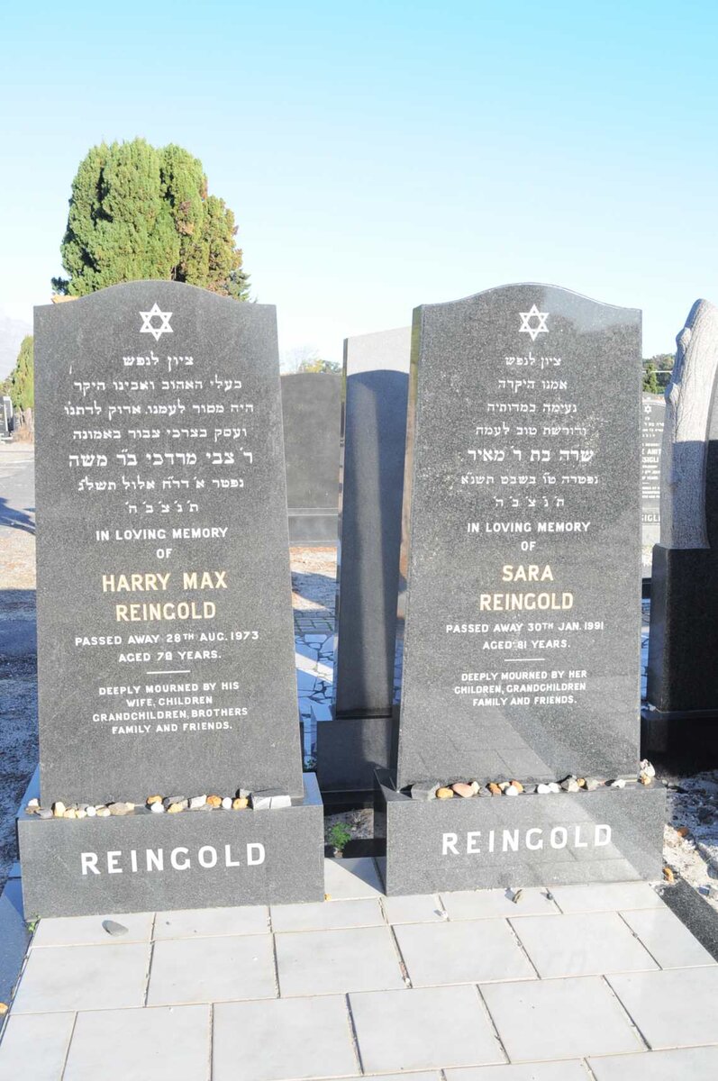 REINGOLD Harry Max -1973 &amp; Sara -1991