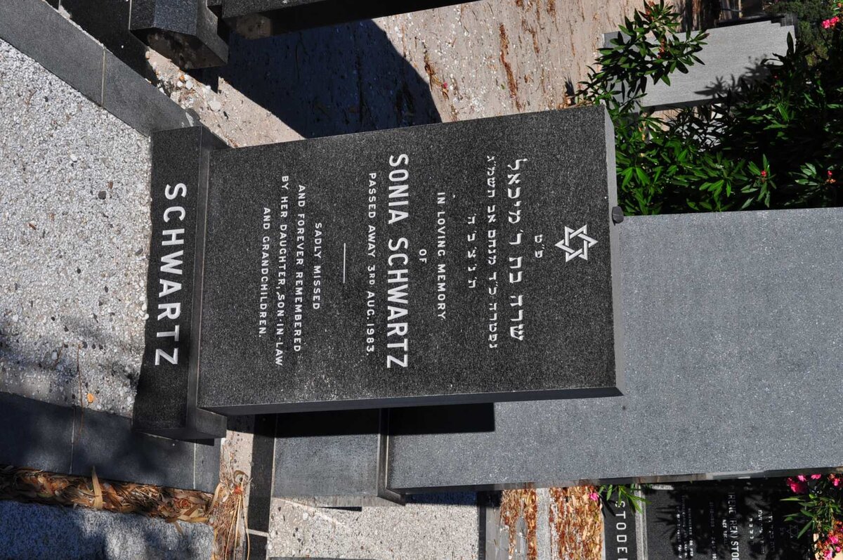 SCHWARTZ Sonia -1983