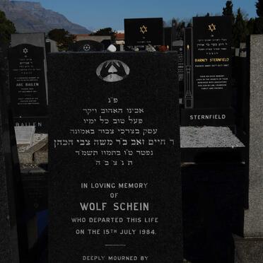 SCHEIN Wolf -1984