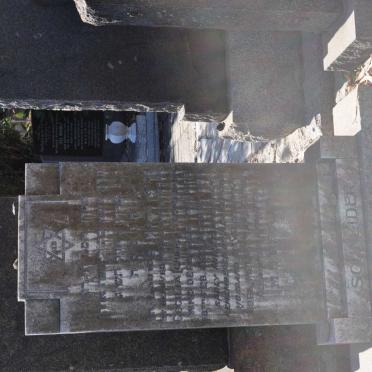 SCHNEIDER Cecilia -1953