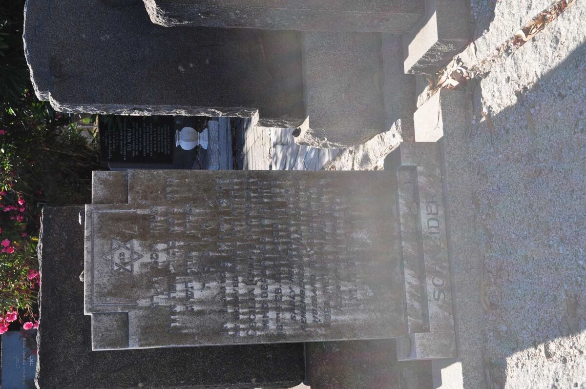 SCHNEIDER Cecilia -1953