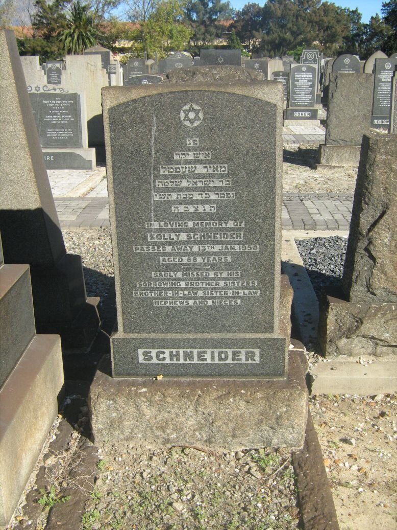 SCHNEIDER Solly -1950