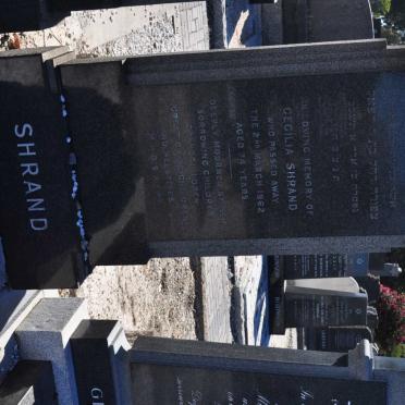 SHRAND Cecilia -1962