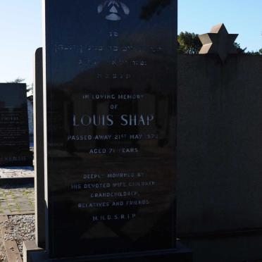 SHAP Louis -1973