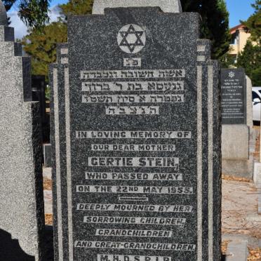 STEIN Gertie -1955
