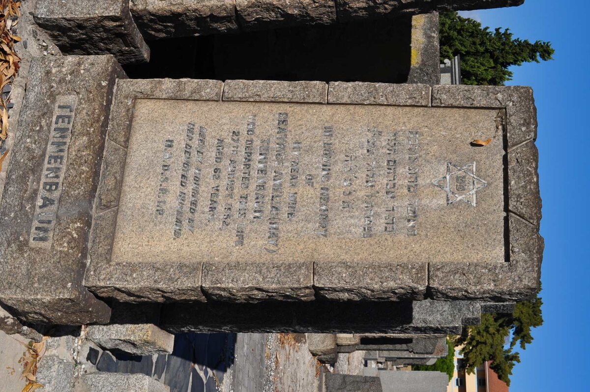 TENNENBAUM Beatrice Amelia -1952