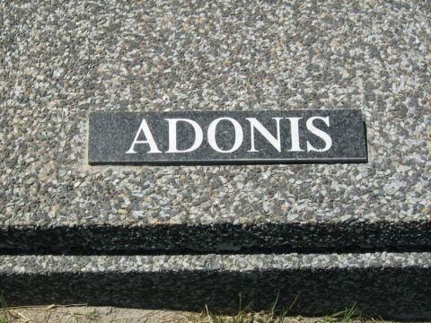 ADONIS
