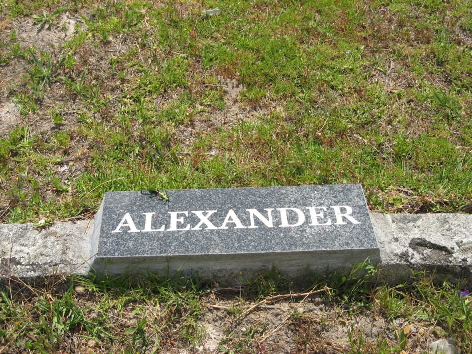 ALEXANDER