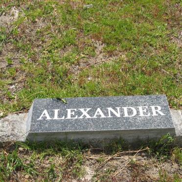 ALEXANDER