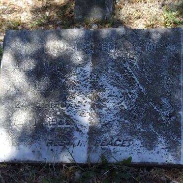 ANDERSON Alfred T. 1907-196?