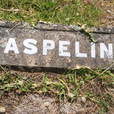 ASPELING