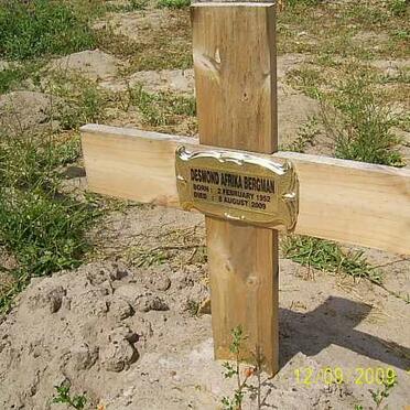 BERGMAN Desmond Afrika 1952-2009