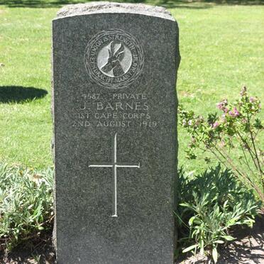 BARNES J. -1919