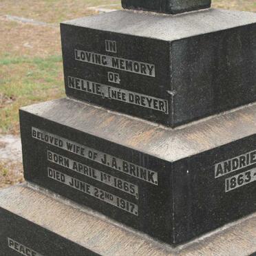 BRINK Johannes Augustus 1855-1930 &amp; Nellie DREYER 1865-1917 :: BRINK Andries 1863-1943 