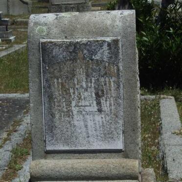 BREWIS Tabitha Strydom