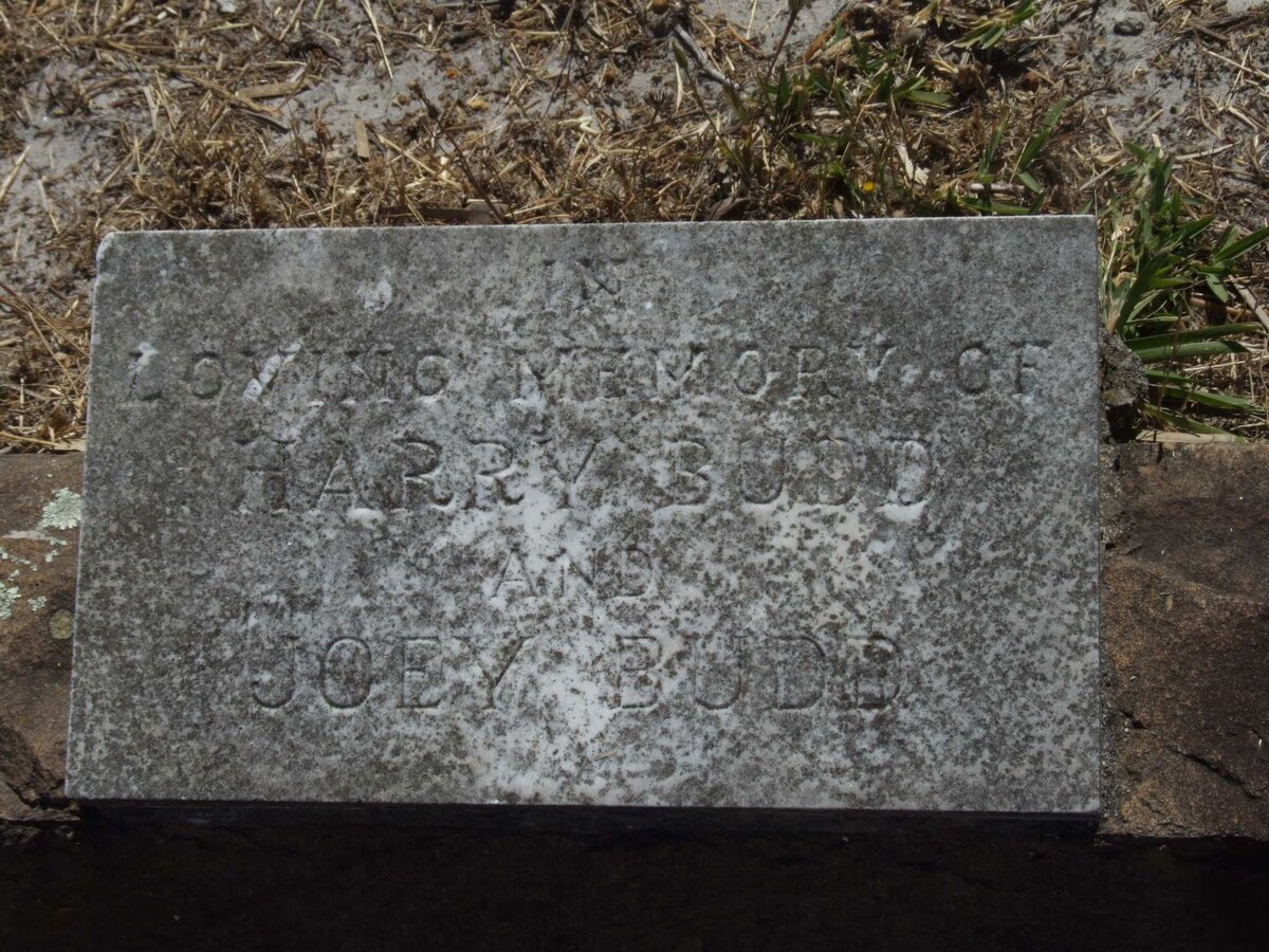 BUDD Harry :: BUDD Joey