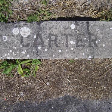 CARTER