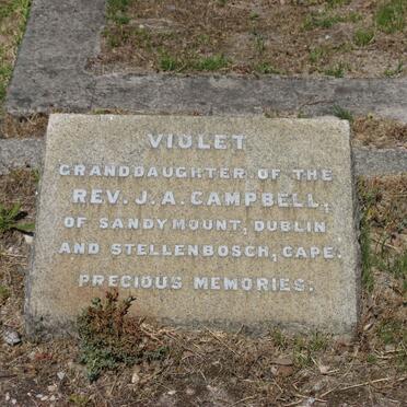 CAMPBELL Violet