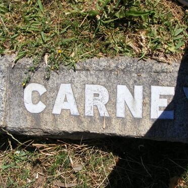 CARNEY