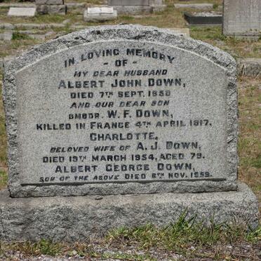 DOWN Albert John -1950 &amp; Charlotte -1954 :: DOWN W.F. -1917 :: DOWN Albert George -1959